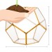 Mindful Design Geometric Dodecahedron Desktop Garden Planter Glass Terrarium   